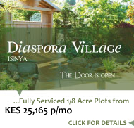Visit Diaspora Village..